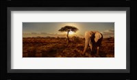 Elephant and Tree Fine Art Print