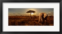 Elephant and Tree Fine Art Print