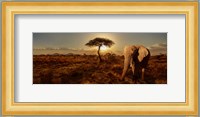 Elephant and Tree Fine Art Print