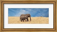 Elephant and her Calf Fine Art Print