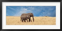 Elephant and her Calf Fine Art Print