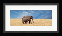 Elephant and her Calf Fine Art Print
