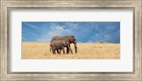Elephant and her Calf Fine Art Print