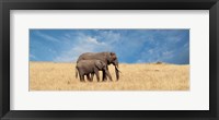 Elephant and her Calf Fine Art Print