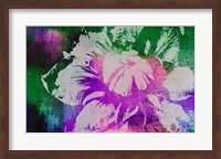 Color Pop Flower Fine Art Print