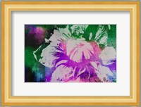 Color Pop Flower Fine Art Print