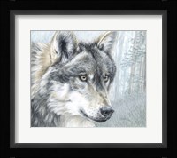 Intent Eyes Fine Art Print
