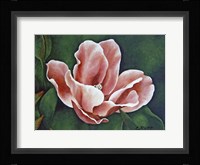 A One Day Show Fine Art Print