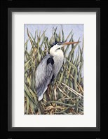 Always Alert Fine Art Print