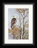 At Rest Fine Art Print