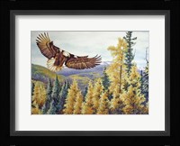 Autumn Flight Fine Art Print