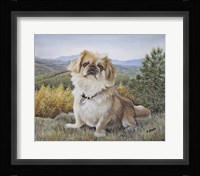 Bo at the Mountains Fine Art Print