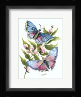 Butterfly in Pink and Blue Fine Art Print