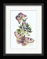Butterfly in Pink Fine Art Print