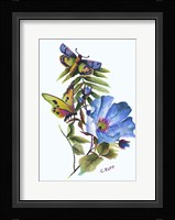 Butterfly on Blue Poppy Fine Art Print