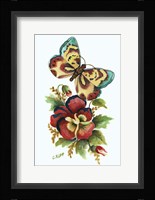 Butterfly on Red Pansey Fine Art Print