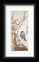 Chickadee in Summer Grass Fine Art Print