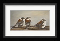 Chickadees on the Deck Fine Art Print