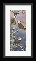 Eagle Trio at Dawn Fine Art Print