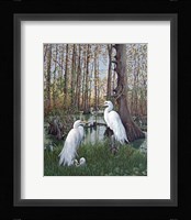 Snowy White Egret Nesting Fine Art Print