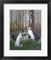 Snowy White Egret Nesting Fine Art Print
