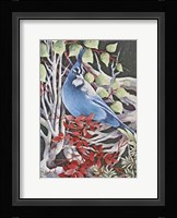 Stellar Jay Waiting for Fall Fine Art Print