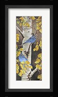 Stellar Jay with Leaves of Gold Fine Art Print