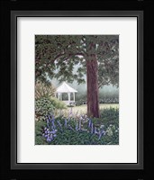 The View From The Porch Framed Print