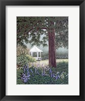 The View From The Porch Framed Print