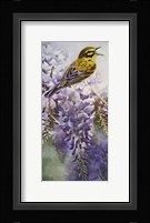 Yellow Bird in Wisteria Framed Print