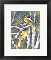 Yellow Birds Fine Art Print