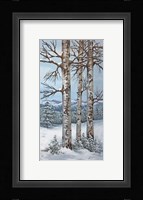 Aspen Trio Winter Fine Art Print