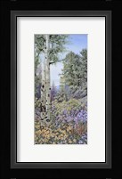 Aspen with Asters Framed Print