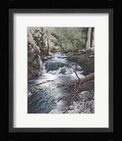 Clear Creek Fine Art Print