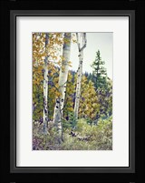 Edge of the Forest Fine Art Print