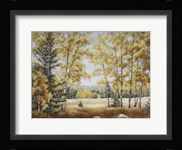 Fall Meadow Fine Art Print