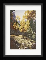 Forest Gold Fine Art Print