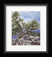 Grand Canyon Rim Fine Art Print