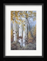 Misty Morning Fine Art Print