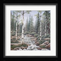 Summer Stream Fine Art Print