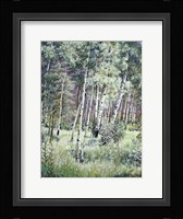 Sunlit Meadow Fine Art Print