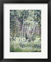 Sunlit Meadow Fine Art Print