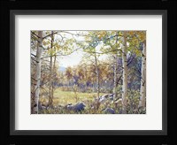 Valley of the Utes Autumn Fine Art Print