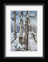 Winter Snow with Aspen Fine Art Print