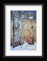 Winter Sunset Fine Art Print