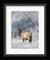 Frosty Morining Fine Art Print