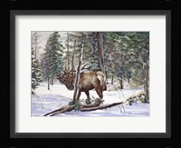 In The Shadows Fine Art Print