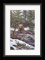 Taking A Break Fine Art Print