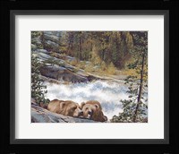 That Was A Good Salmon Fine Art Print