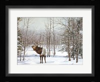 Valley Of The Utes Fine Art Print